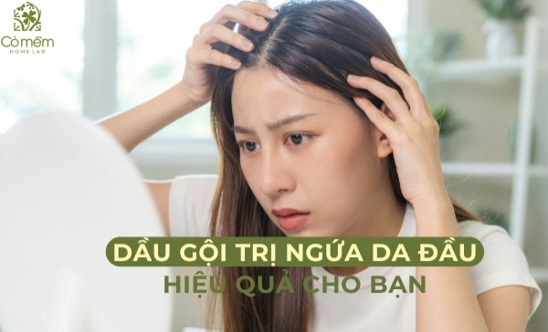 Dầu gội trị ngứa da đầu 