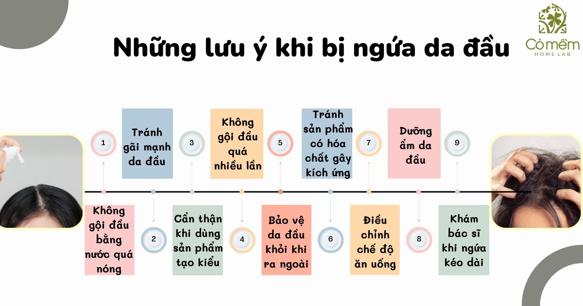 Dầu gội trị ngứa da đầu 