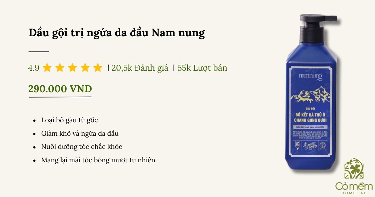 Dầu gội trị ngứa da đầu 