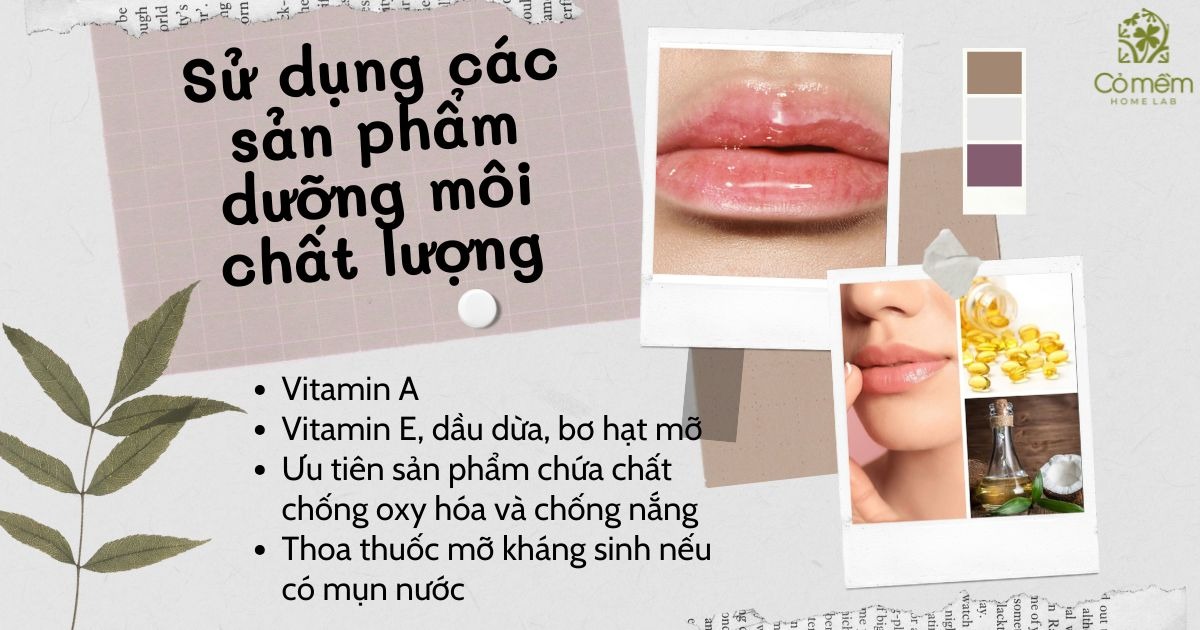 Dưỡng môi sau xăm 