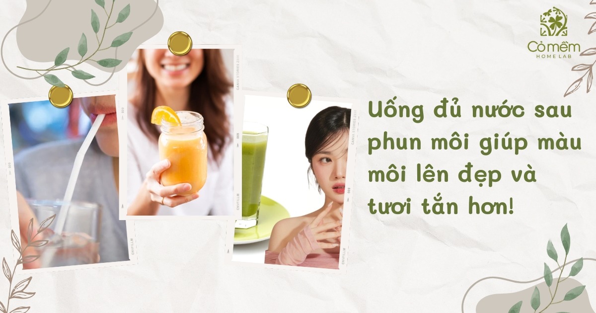 Dưỡng môi sau xăm 