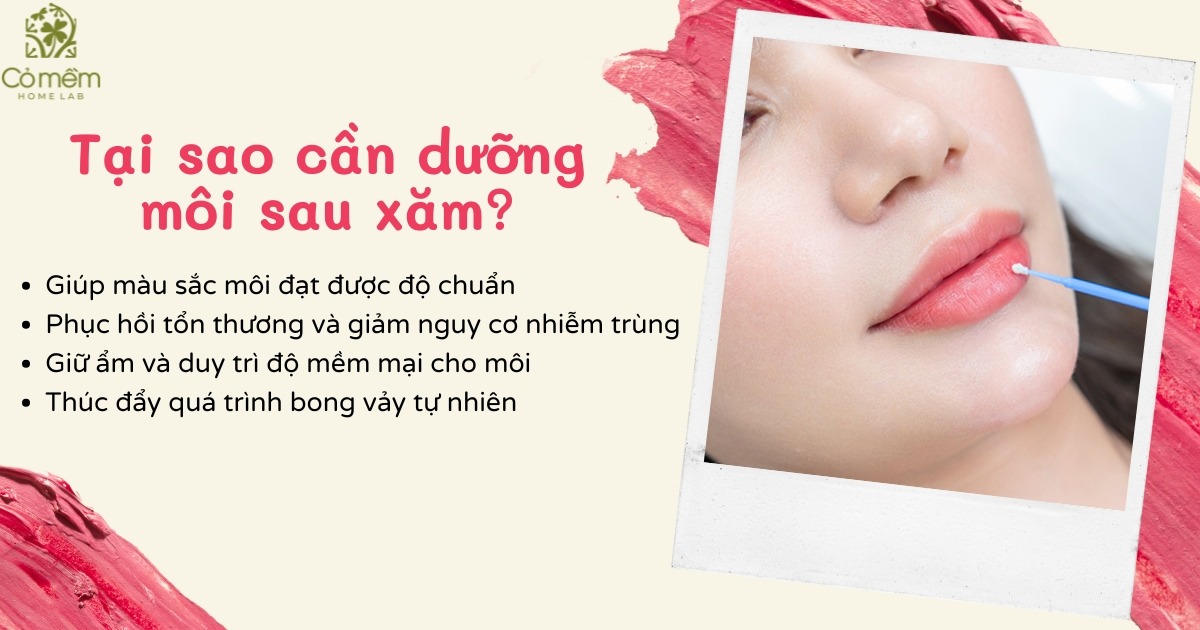 Dưỡng môi sau xăm 