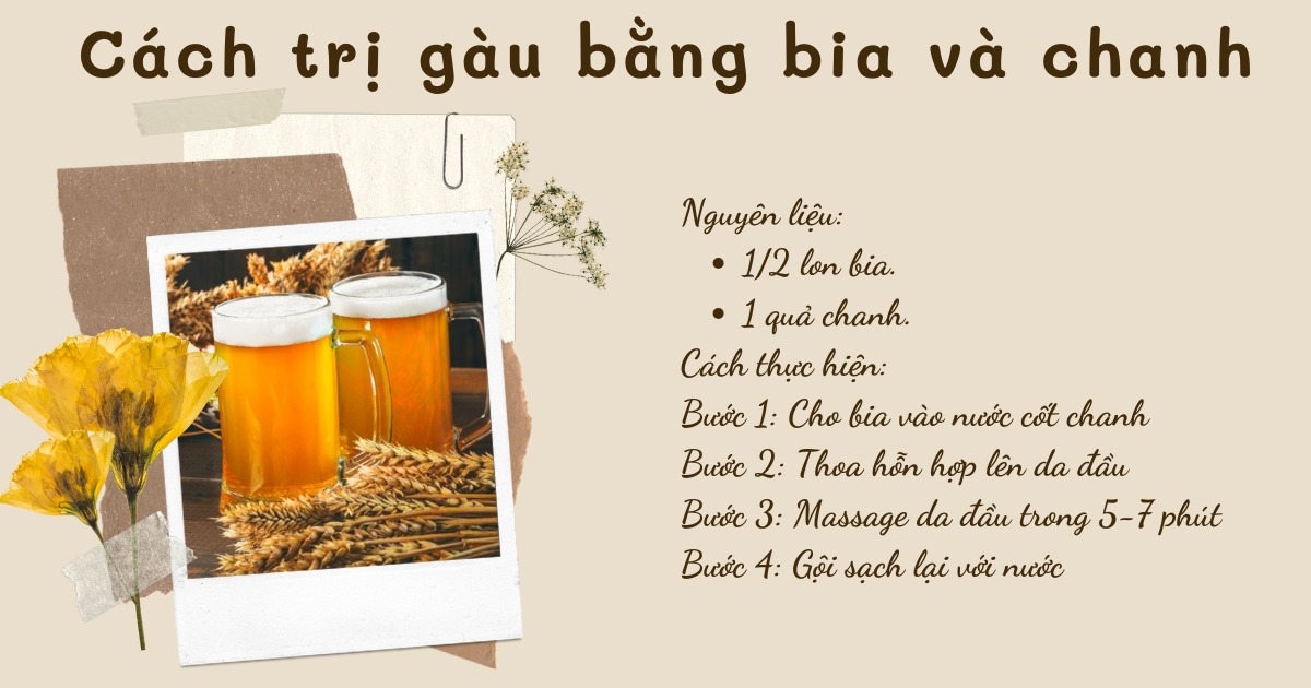 cách trị gàu bằng bia 