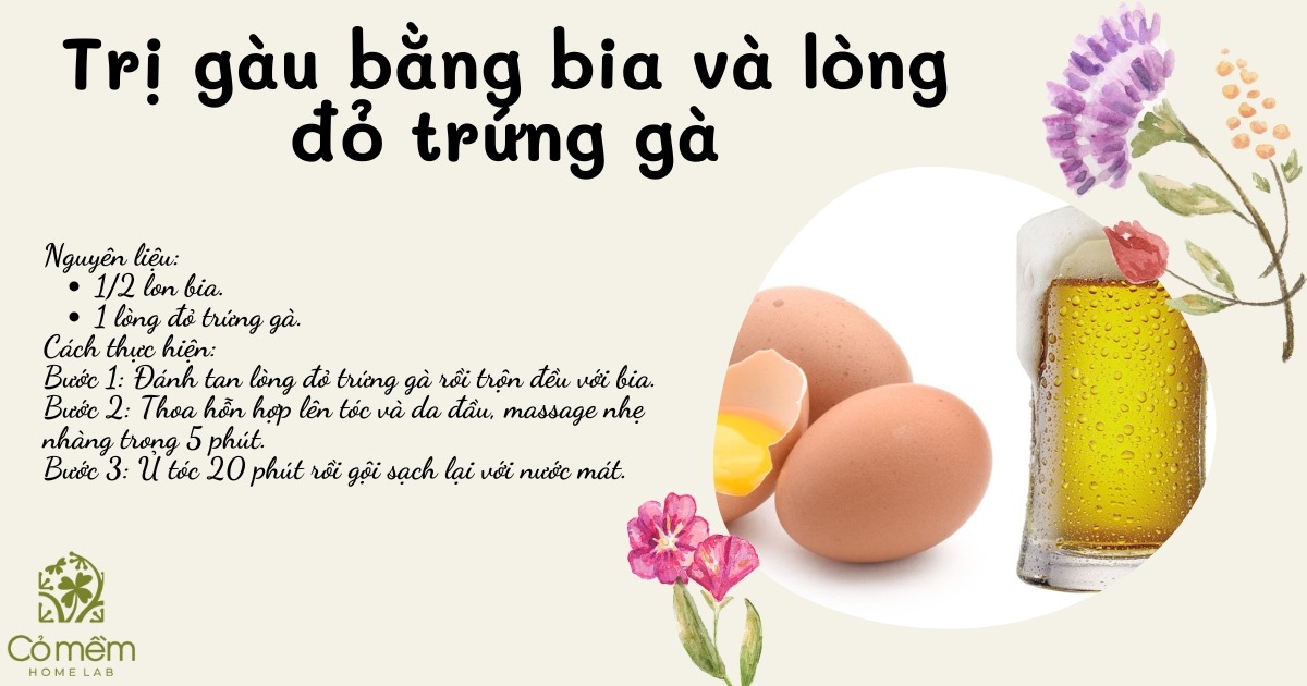 cách trị gàu bằng bia