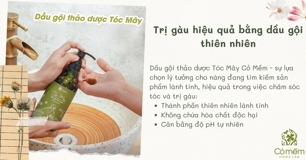 cách trị gàu bằng bia