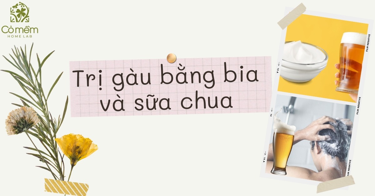 cách trị gàu bằng bia 