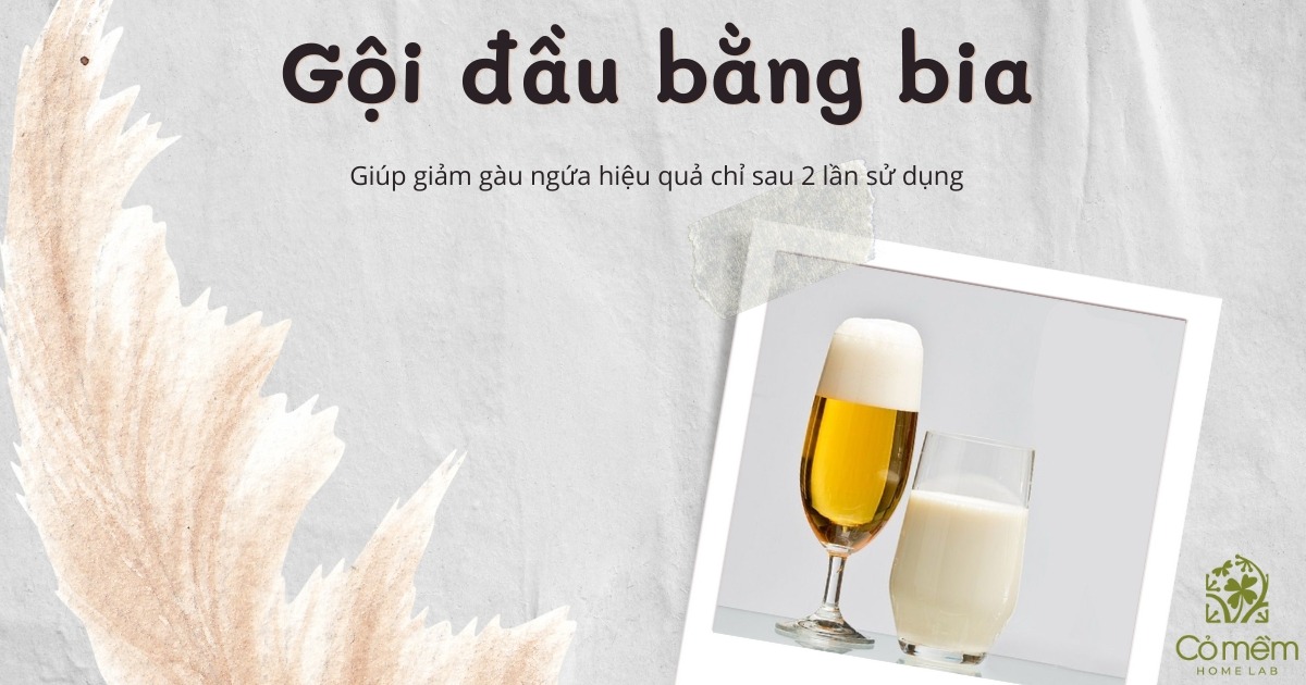 cách trị gàu bằng bia 