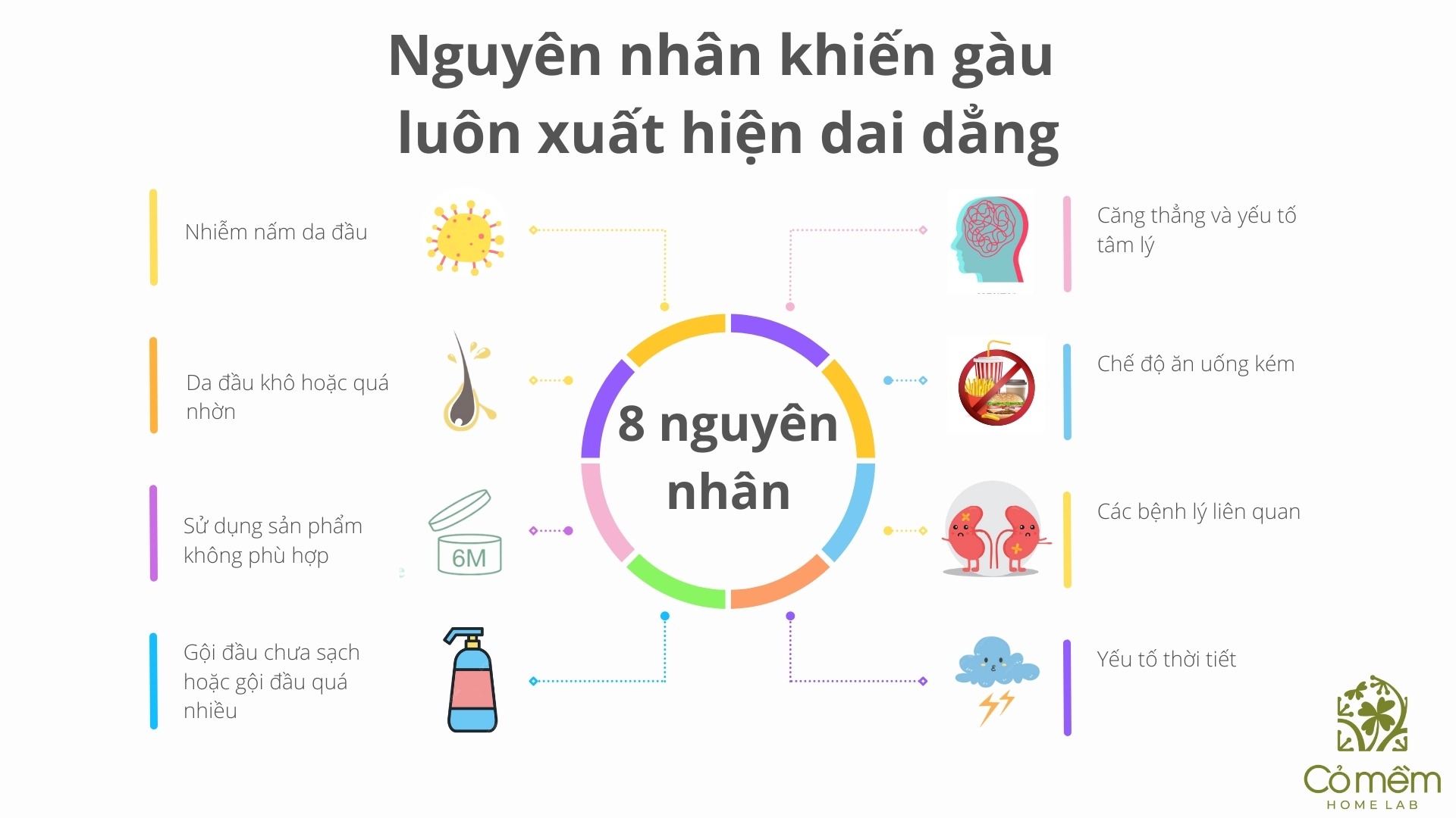 cách trị gàu bằng bia 