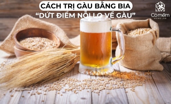 cách trị gàu bằng bia 