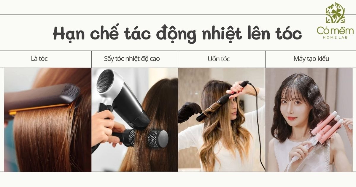 tóc xơ rối