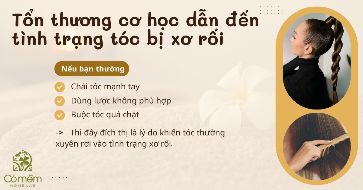 tóc xơ rối