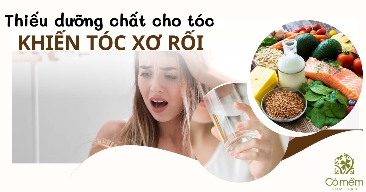 tóc xơ rối