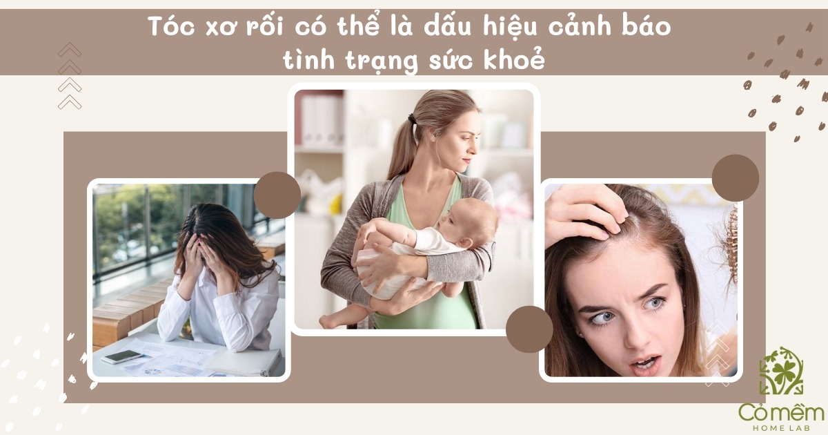 tóc xơ rối