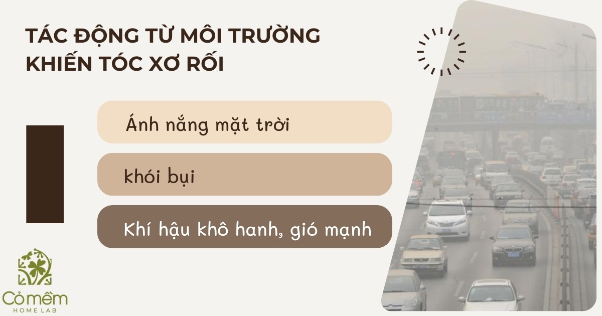 tóc xơ rối