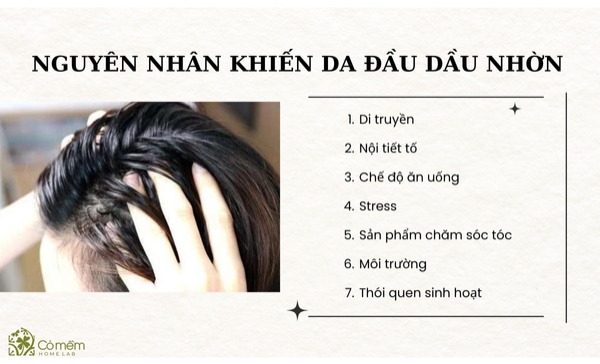 dau đầu dầu nhờn 