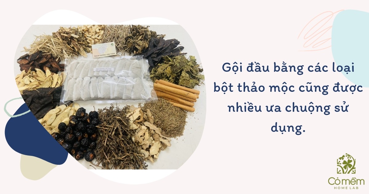 gội đầu không dùng dầu gội có sao không