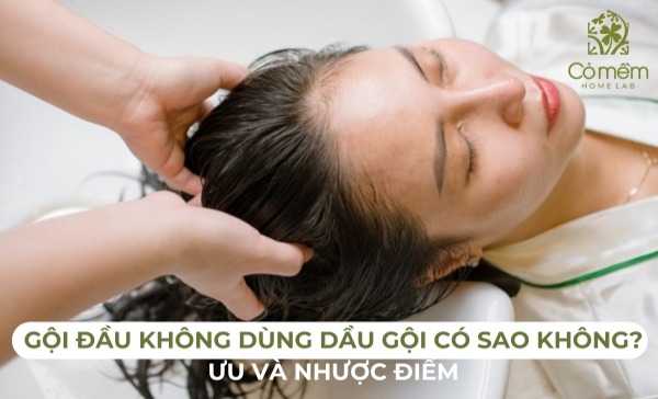 gội đầu không dùng dầu gội có sao không