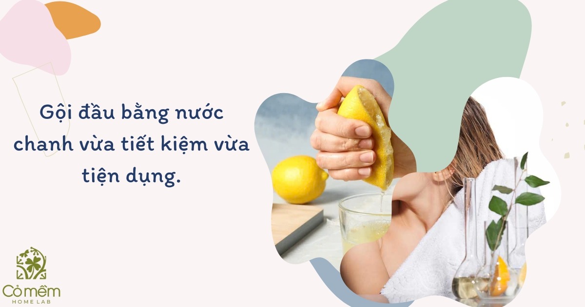 gội đầu không dùng dầu gội có sao không