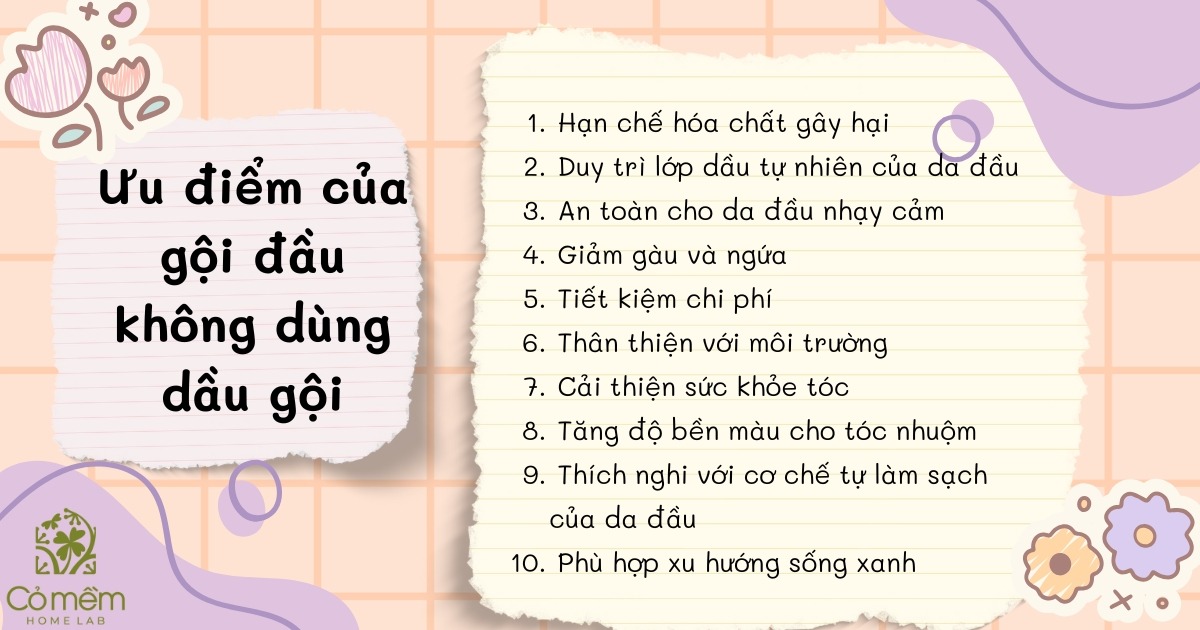 gội đầu không dùng dầu gội có sao không