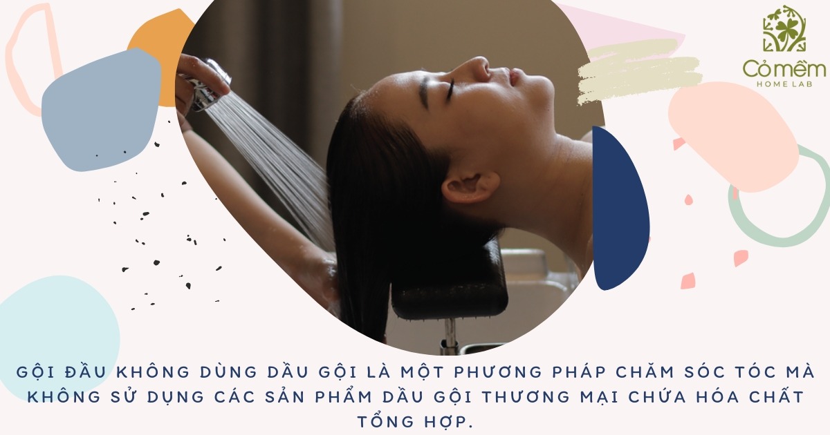 gội đầu không dùng dầu gội có sao không