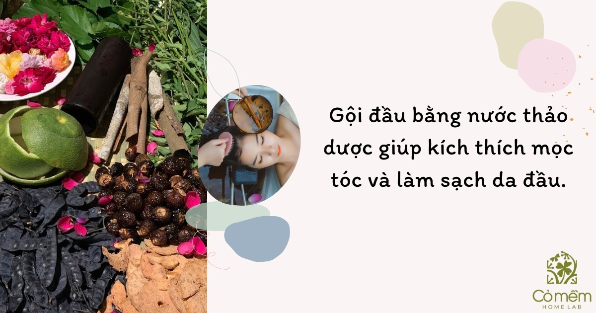 gội đầu không dùng dầu gội có sao không