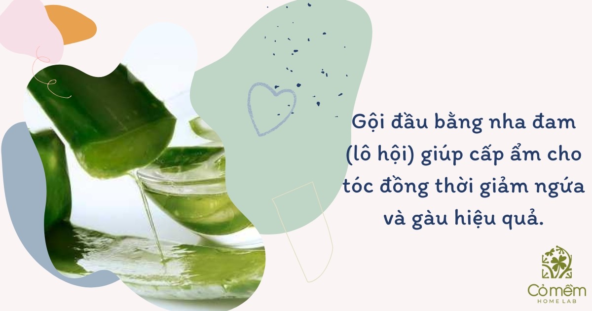 gội đầu không dùng dầu gội có sao không