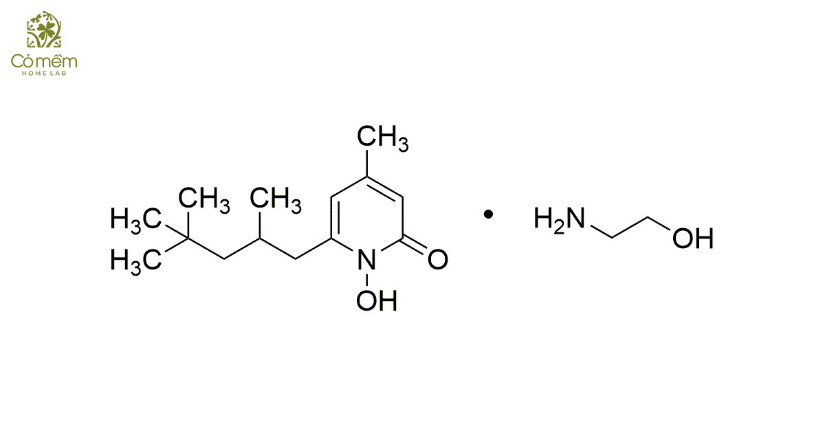 Piroctone olamine là gì