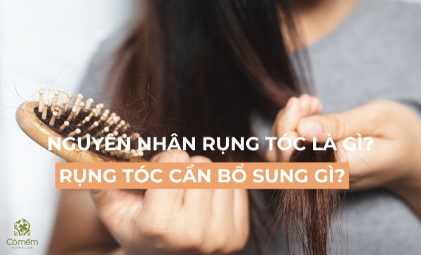 rụng tóc cần bổ sung những gì 