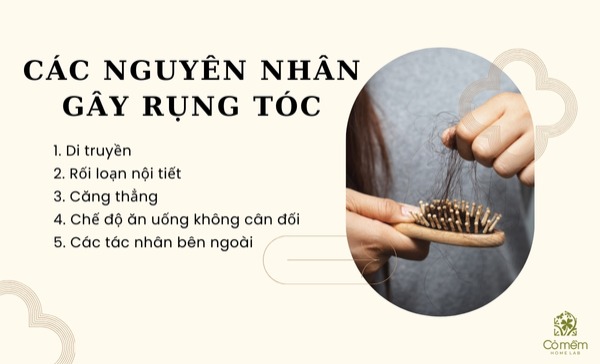 rụng tóc cần bổ sung những gì 