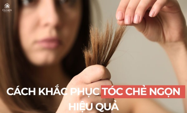 tóc chẻ ngọn 