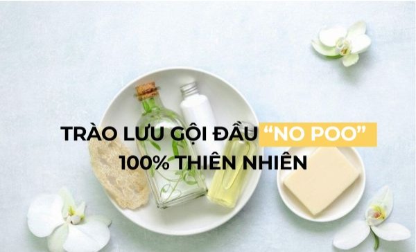 gội đầu no poo