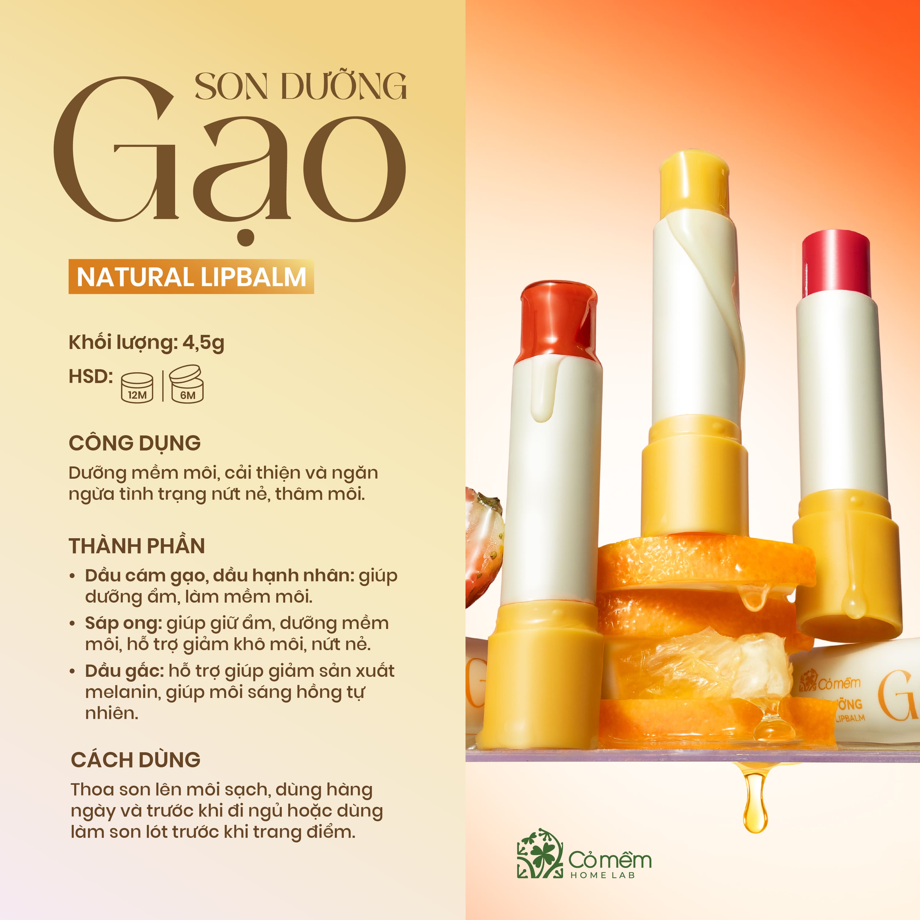 Son dưỡng Gạo 