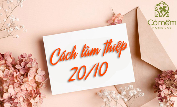 Làm thiệp 20/10 - Top 10+ cách đơn giản, dễ làm nhất 2024