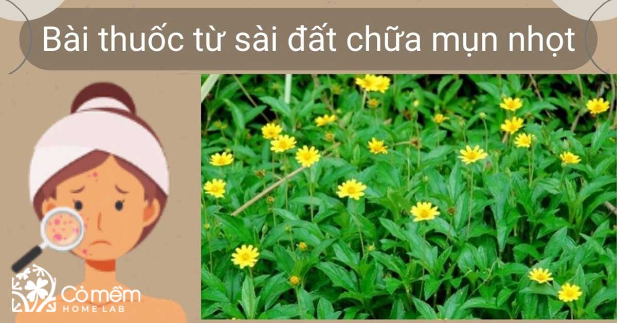 sài đất