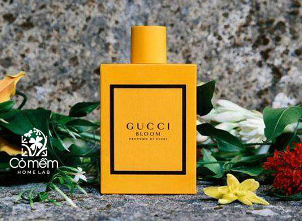 nước hoa Gucci cho nữ giới