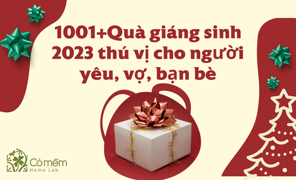 1001+Quà giáng sinh 2024 "cute, độc đáo, ấn tượng" 10/10đ