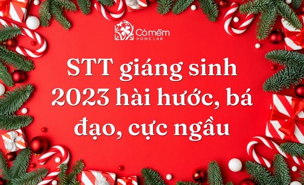 199+ STT Giáng Sinh 2024 Hài Hước, Bá Đạo, Cực Ngầu Cho 2K