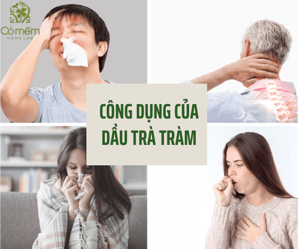 Dầu cây trà điều trị các vấn đề về hô hấp và đau
