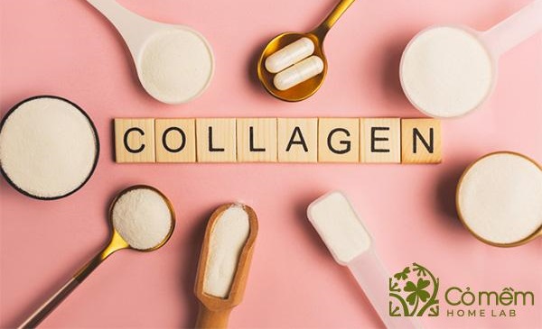 vì sao uống collagen lại tăng cân