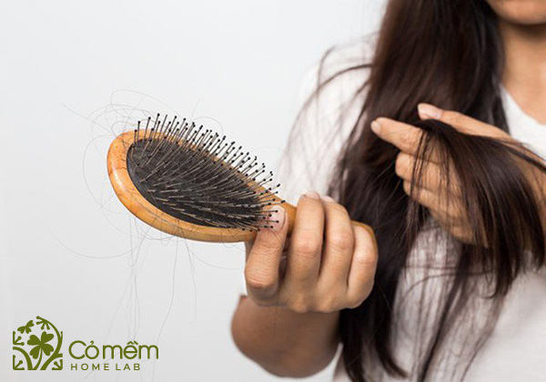 cách khắc phục tóc rụng nhiều