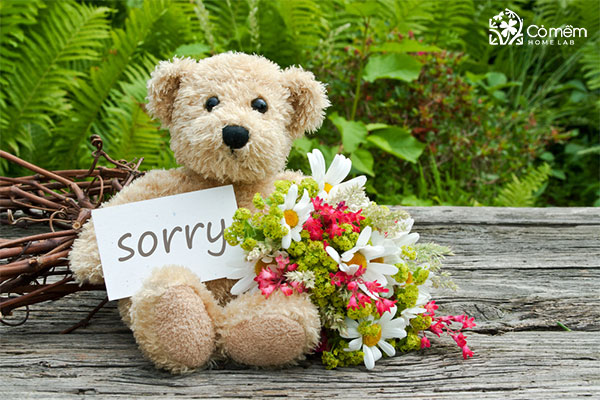 cách xin lỗi người yêu qua tin nhắn