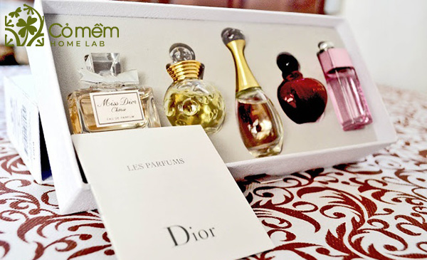 Hạn sử dụng nước hoa Chanel, Dior, Scandal, Versace, Narciso – Cty TNHH New  Date