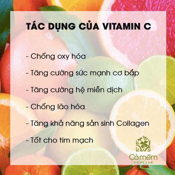 vitamin c có trong thực phẩm nào