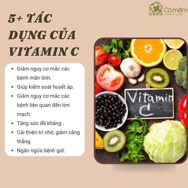 Uống vitamin c hàng ngày có tốt không?