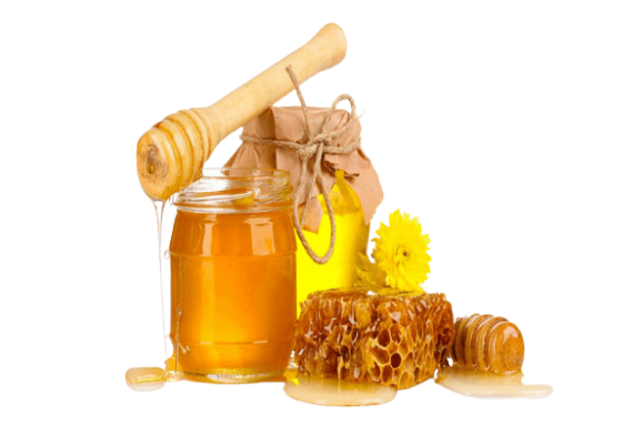 Chiết xuất Protein sữa ong chúa