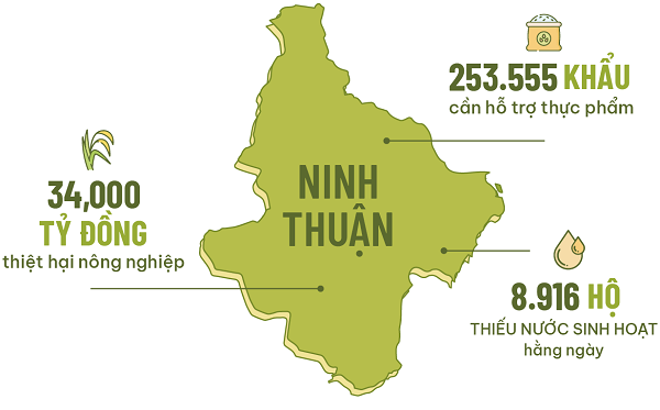 Muốn giữ được nguồn sống Ninh Thuận phải có rừng