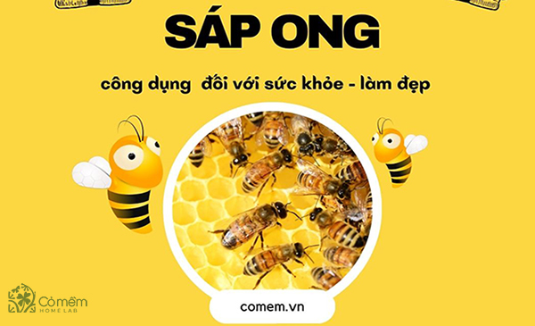 Sáp ong: Những công dụng của sáp ong không phải ai cũng biết